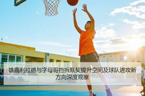 雄鹿利拉德与字母哥挡拆默契提升空间及球队进攻新方向深度观察